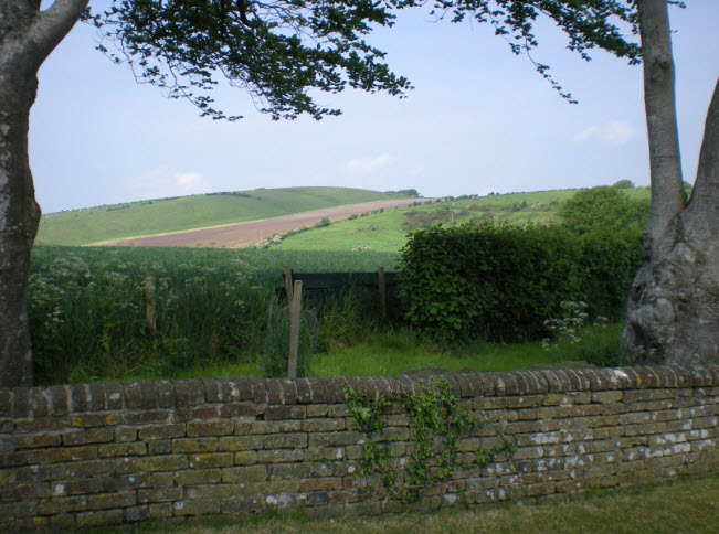 View from East Chaldon graveyard