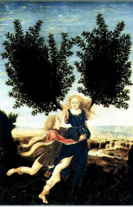 Apollo and Daphne