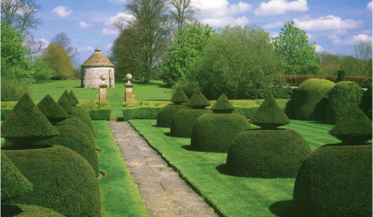 Devo-esque topiary