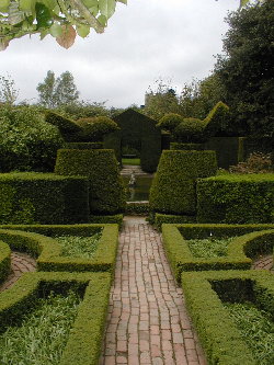 Hidcote Manor topiary