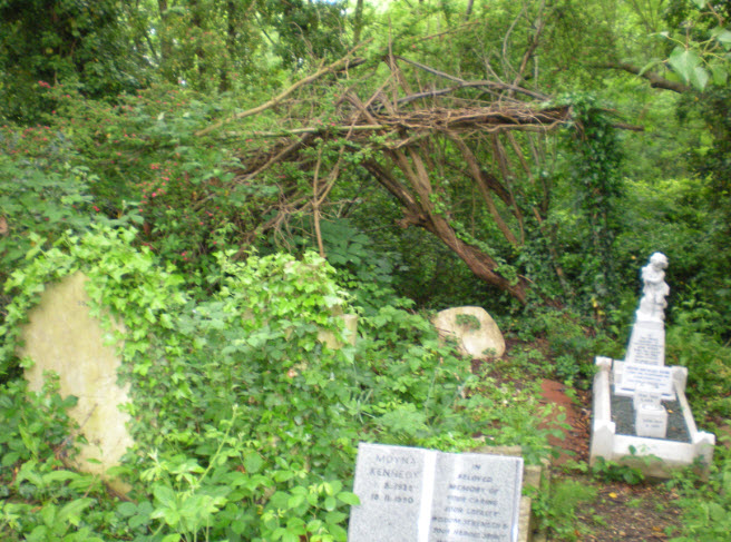 Neglected graves