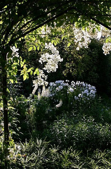 Sissinghurst white garden