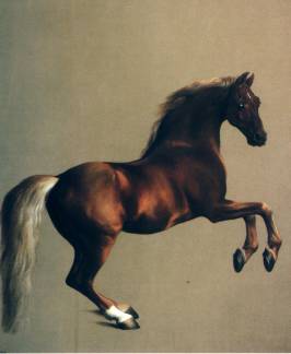 Whistlejacket by Stubbs